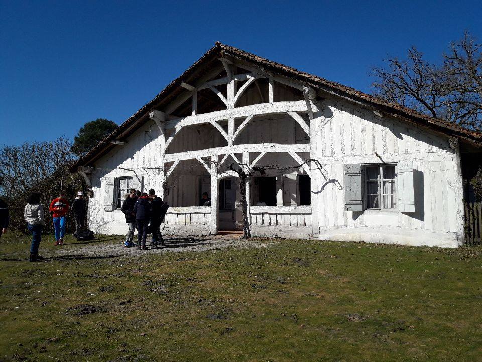 Bâti landais traditionnel