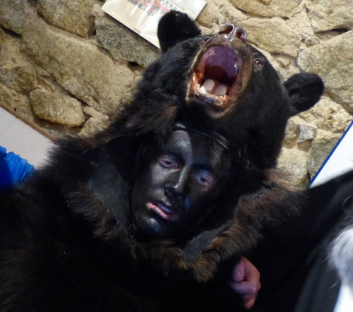 Un homme grimé et costumé en ours lors de la Fête de l’Ours de Saint-Laurent-de-Cerdans (Pyrénées-Orientales) © Robert Bosch/Ministère de la Culture